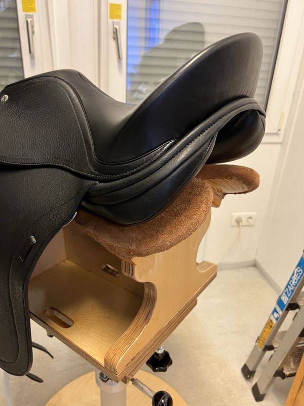 AL Islandshestsal Skate