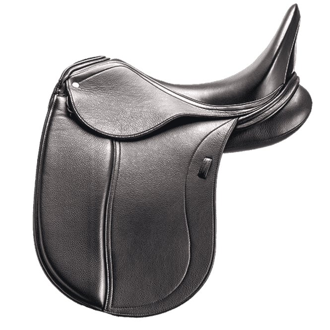 Hovedbilde CL Dressursal Bubi