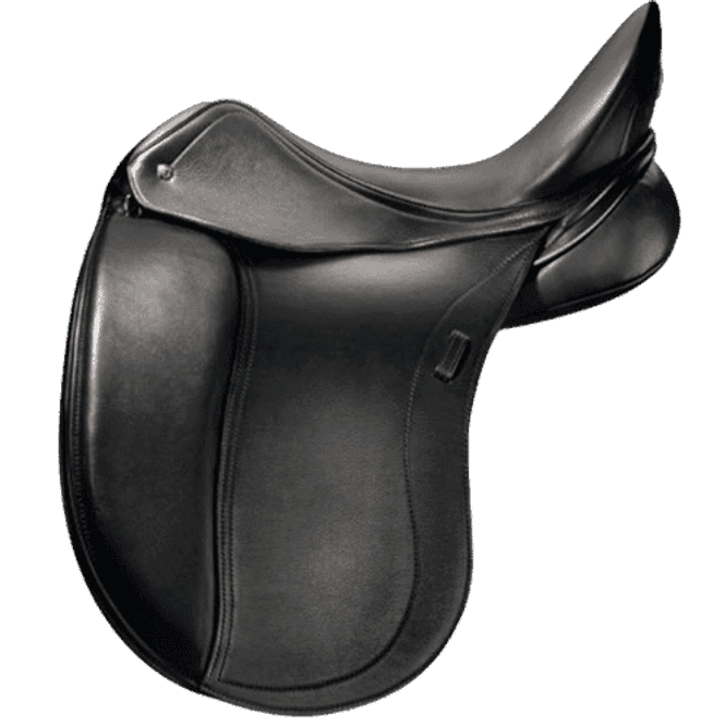 Hovedbilde PL Dressursal Heike Kemmer