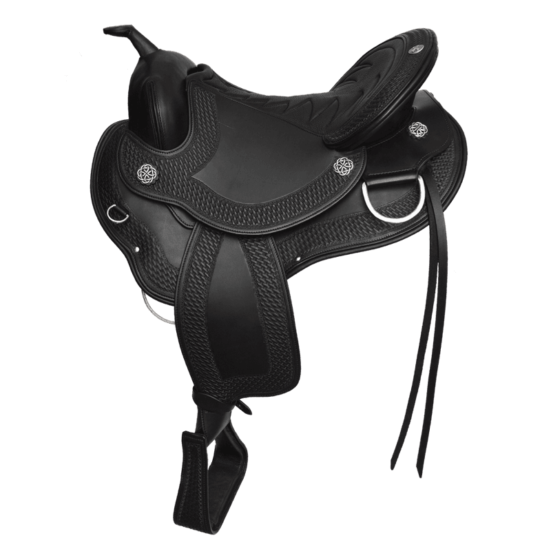 WE Western Dressage Cadence